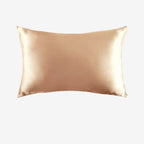 19 Momme Mulberry Silk Pillowcase