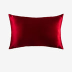 19 Momme Mulberry Silk Pillowcase